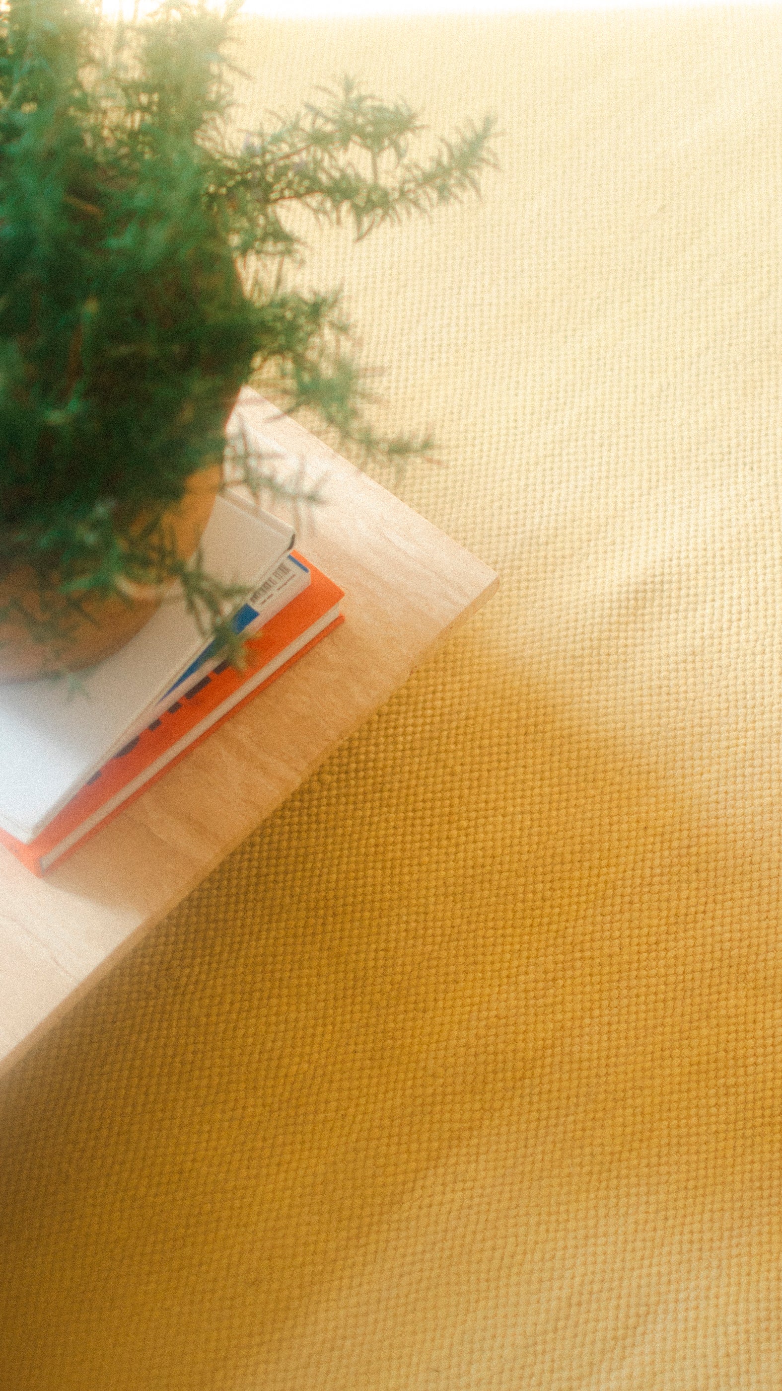 O/U Wool Rug - Ivory